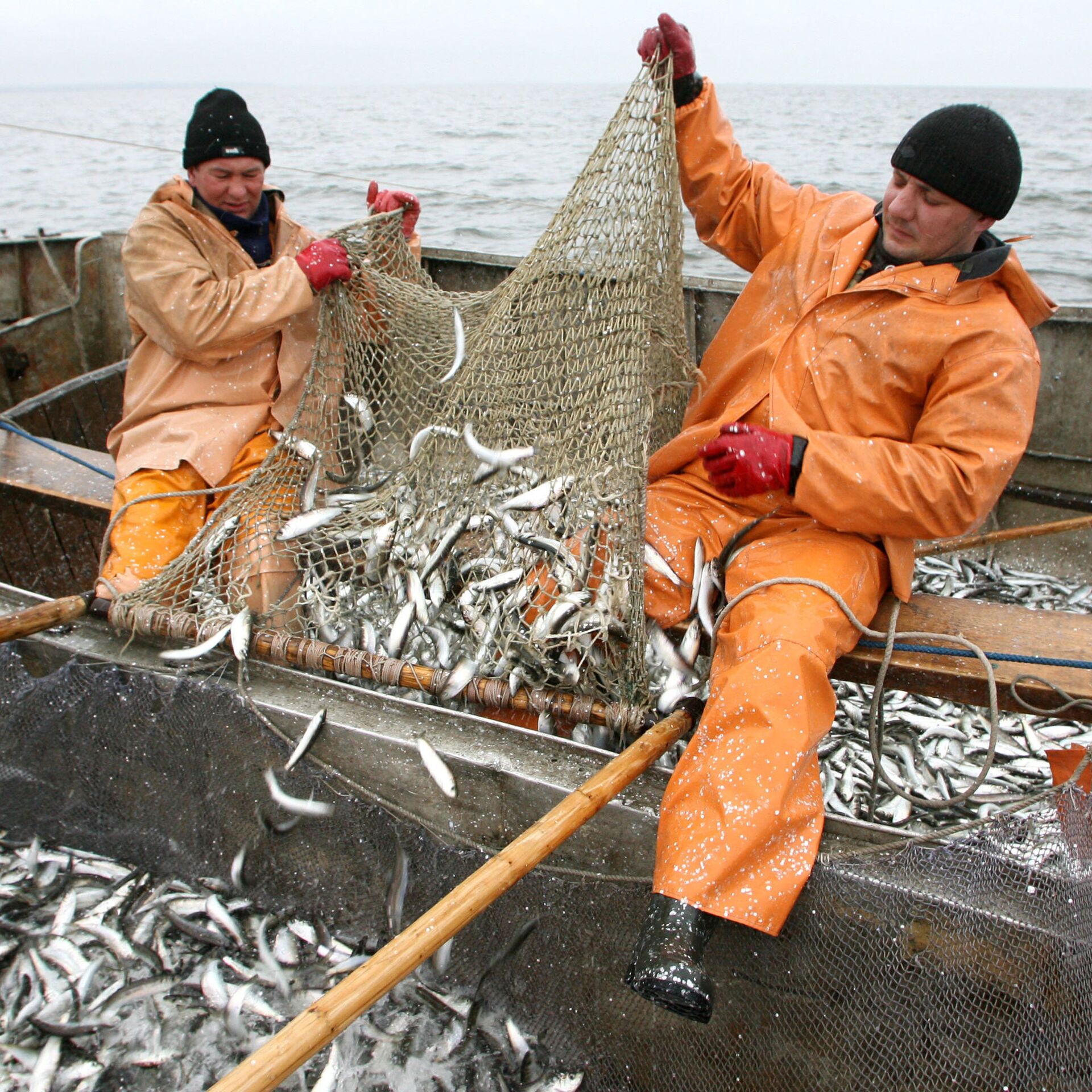 Рыбный промысел Балтийского моря