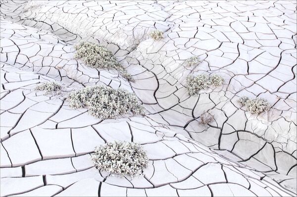 Снимок канадского фотографа Katherine Keates, победивший в номинации Natural World Portfolio, EARTH & CLIMATE Снимок канадского фотографа Katherine Keates, победивший в номинации Natural World Portfolio, EARTH & CLIMATE - Sputnik Латвия