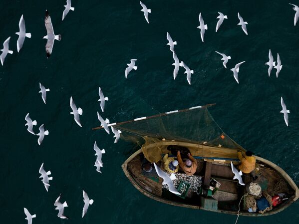 Zvejnieki Melnās jūras zivju piekrastes zvejā Sevastopolē - Sputnik Latvija