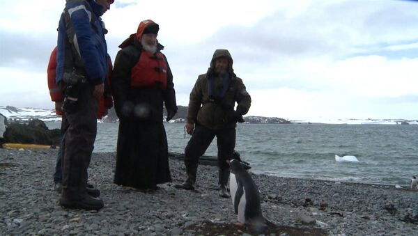 Патриарх Кирилл с полярниками погулял среди пингвинов по берегу Антарктиды - Sputnik Латвия