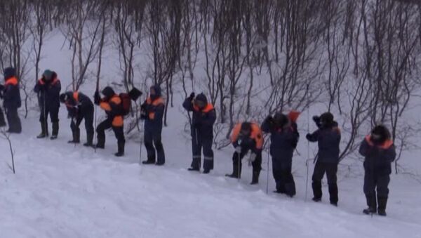 Спасатели щупами обследовали снег в поисках попавших под  лавину людей - Sputnik Латвия