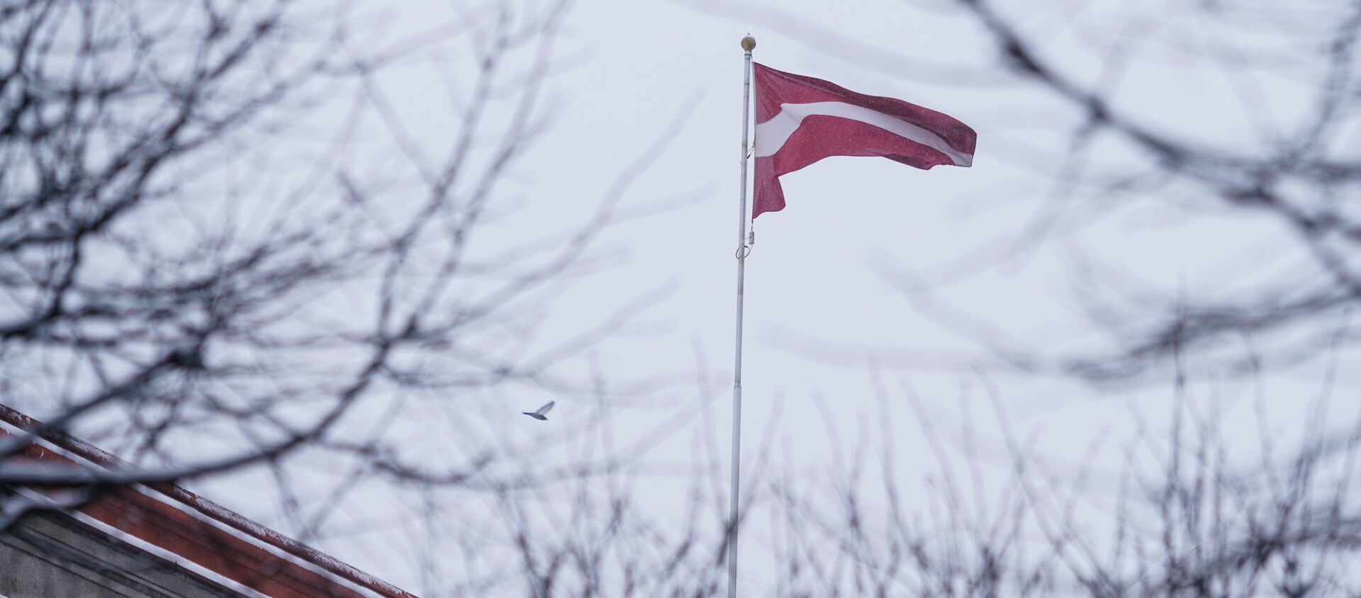 Флаг Латвии на здании Кабинета министров - Sputnik Латвия, 1920, 21.01.2021
