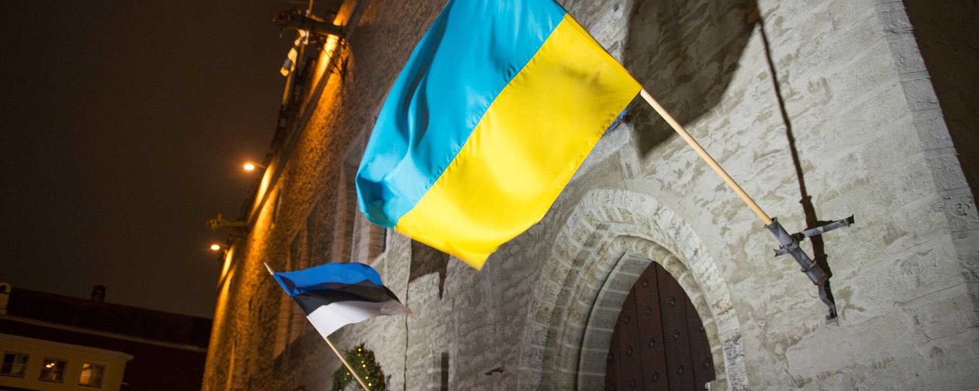 Флаги Эстонии и Украины - Sputnik Латвия, 1920, 28.12.2023