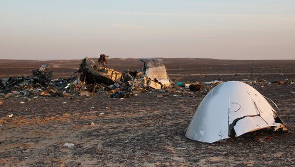Поисковые работы на месте крушения российского самолета Airbus A321 в Египте - Sputnik Латвия