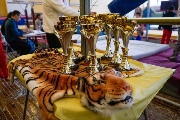 Международный турнир по спортивной гимнастике Кубок тигренка 2018 Международный турнир по спортивной гимнастике Кубок тигренка 2018 - Sputnik Латвия