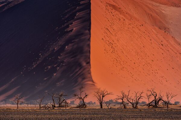 Снимок The Great wall of Namib тайского фотографа Paranyu Pithayarungsarit из категории Landscape & Nature (Open), вошедший в шортлист фотоконкурса 2018 Sony World Photography Awards Снимок The Great wall of Namib тайского фотографа Paranyu Pithayarungsarit из категории Landscape & Nature (Open), вошедший в шортлист фотоконкурса 2018 Sony World Photography Awards - Sputnik Латвия