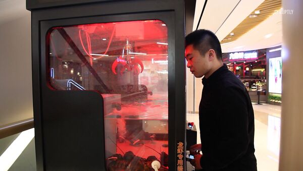 Посетителям ресторана в Китае предлагают выловить живого омара игрушечным краном - Sputnik Latvija
