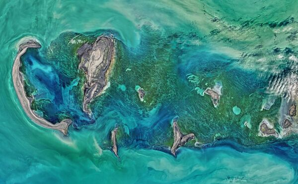 Roņu salu attēls Kaspijas jūrā. Landsat 8 satelīta uzņēmums - Sputnik Latvija