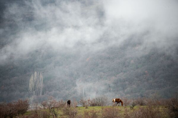 Zirgi ganās uz pļavas pie Lučistoje ciemata, Krima - Sputnik Latvija
