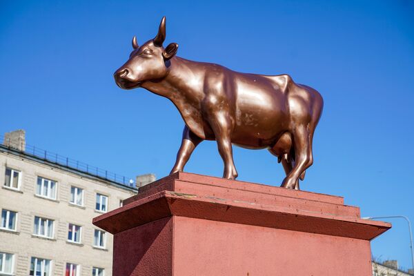 Корова-колосс - Sputnik Латвия