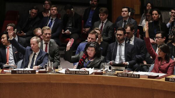Заседание Совбеза ООН по Сирии. 10 апреля 2018 - Sputnik Latvija