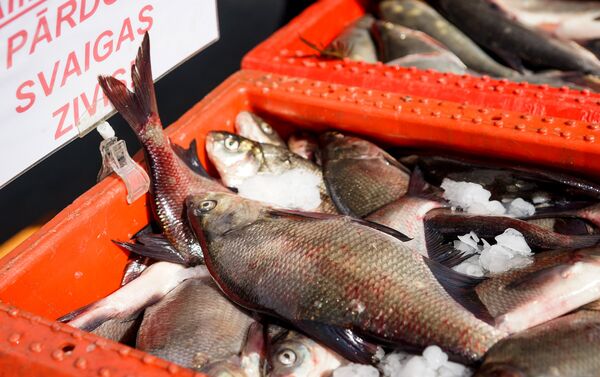 Продажа свежей рыбы - Sputnik Латвия