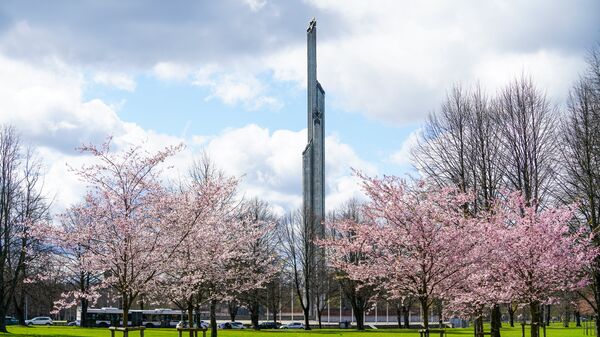 Памятник Освободителям и цветущая сакура в Парке Победы в Риге - Sputnik Latvija