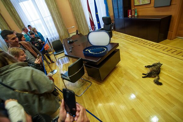В кабинете мэра Риги посетителей встречал кот Кузя В кабинете мэра Риги посетителей встречал кот Кузя - Sputnik Латвия