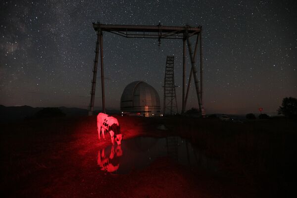 Andreja Steņina starptautiskā fotokonkursa finālisti Andreja Steņina starptautiskā fotokonkursa finālisti - Sputnik Latvija