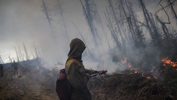 Тушение природного лесного пожара - Sputnik Латвия