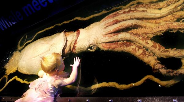 Трехлетняя девочка рядом с десятиметровым гигантским кальмаром на выставке морских жителей в музее Мельбурна - Sputnik Латвия