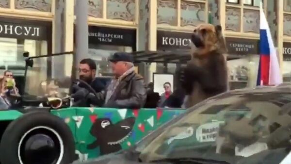 Медведь на чемпионате мира по футболу в России - Sputnik Latvija