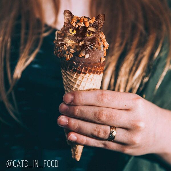 Фотоколлаж из мороженого и кота - Sputnik Латвия