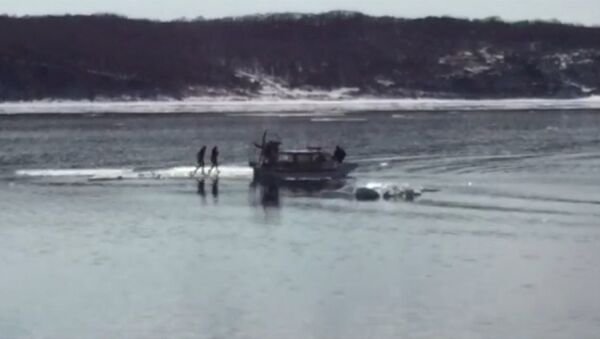 Спасатели на катере забрали с дрейфующей льдины двух любительниц селфи - Sputnik Латвия