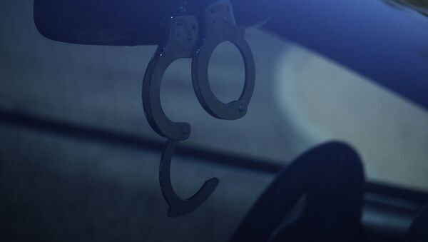 Roku dzelži uz policijas mašīnas stikla. Foto no arhīva - Sputnik Latvija