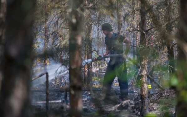 Тушение пожара в Валдгальской волости Талсинского края - Sputnik Латвия