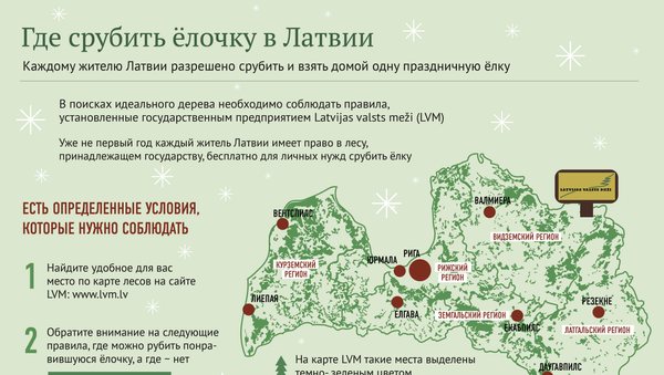 Где срубить рождественскую ёлку в Латвии - Sputnik Латвия