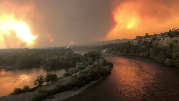 Лесной пожар в Калифорнии - Sputnik Latvija