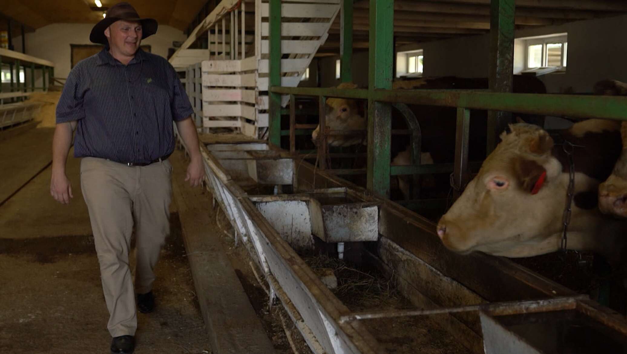 фермер видео