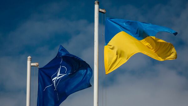 Национальный флаг Украины и флаг Организации Североатлантического договора (НАТО) - Sputnik Латвия